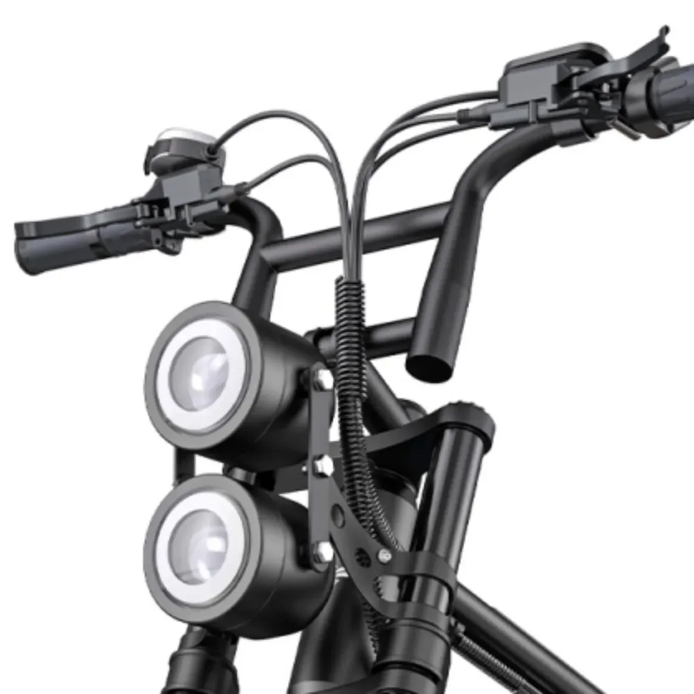 Vélo Électrique HillMiles MileZoom 1 - Moteur 750W Batterie 52V15.6AH Pneus De 20 Pouces Frein à Huile Hydraulique - Bleu