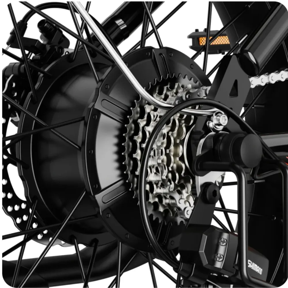 JASION RetroVolt Vélo Électrique - 500W Batterie 48V12.5Ah Pneus 20 Pouces Freins à Disque - Vert