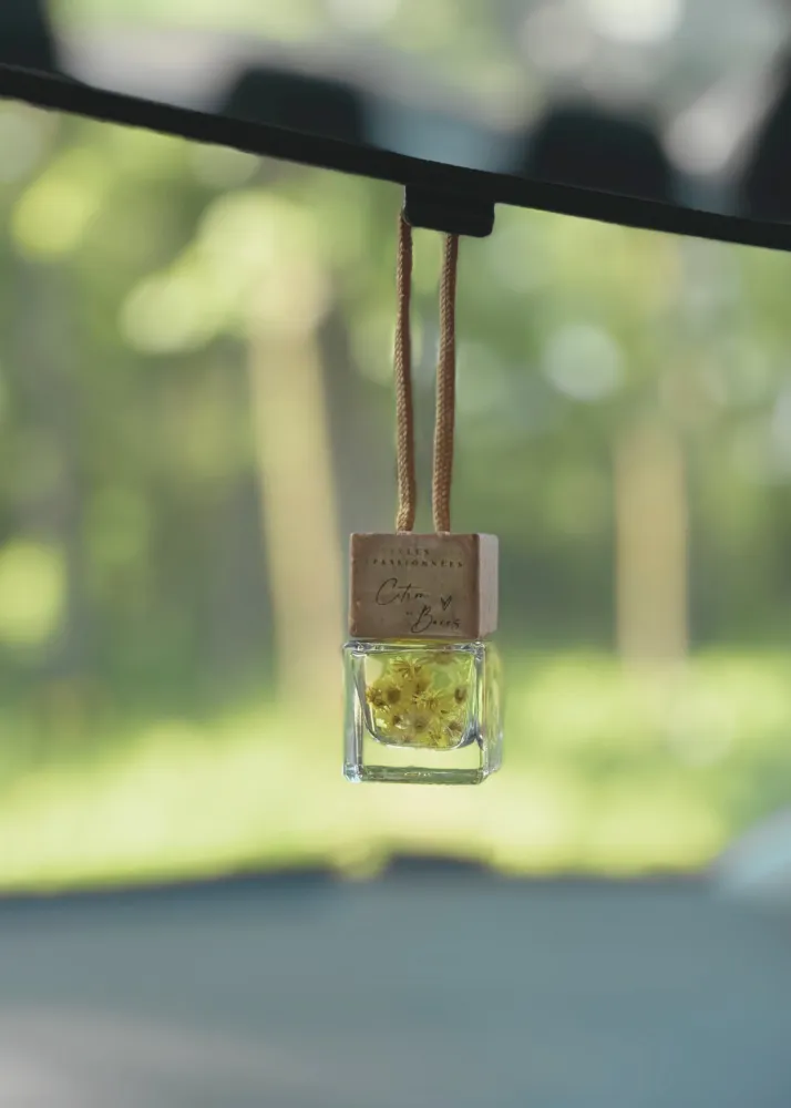 DIFFUSEUR POUR VOITURE RECHEARGEABLE - Citron & Baies Les Passionnées