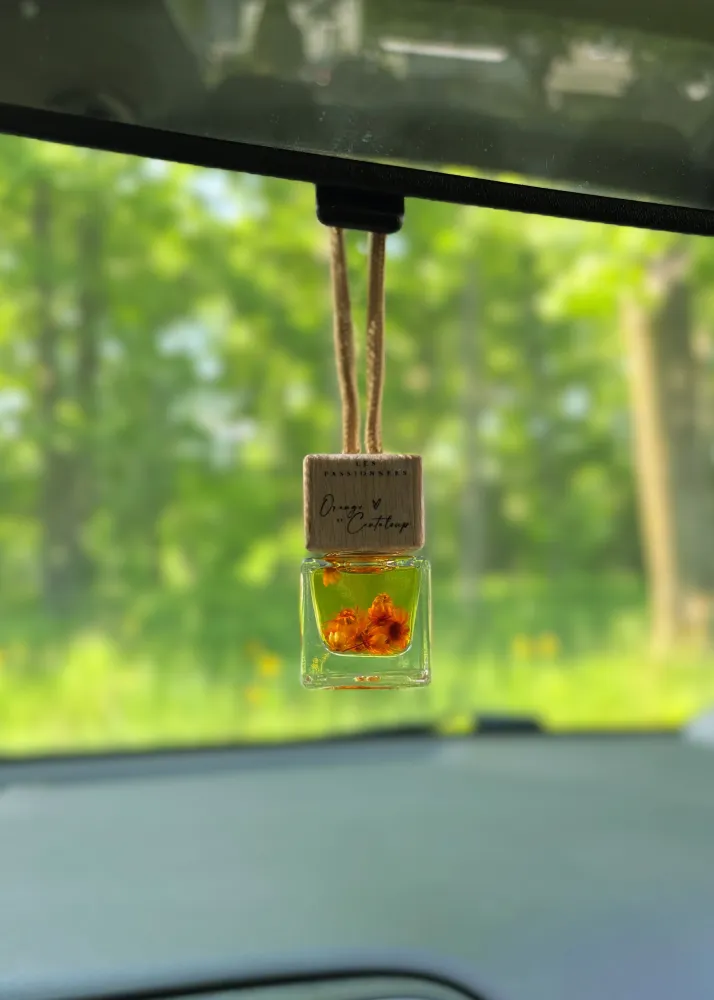 DIFFUSEUR POUR VOITURE RECHEARGEABLE - Orange & Cantaloup Les Passionnées