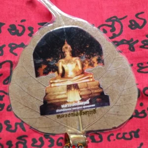Protection magique pour voiture feuille d'arbre du Bouddha - Wat Pai Ngern. magiedubouddha