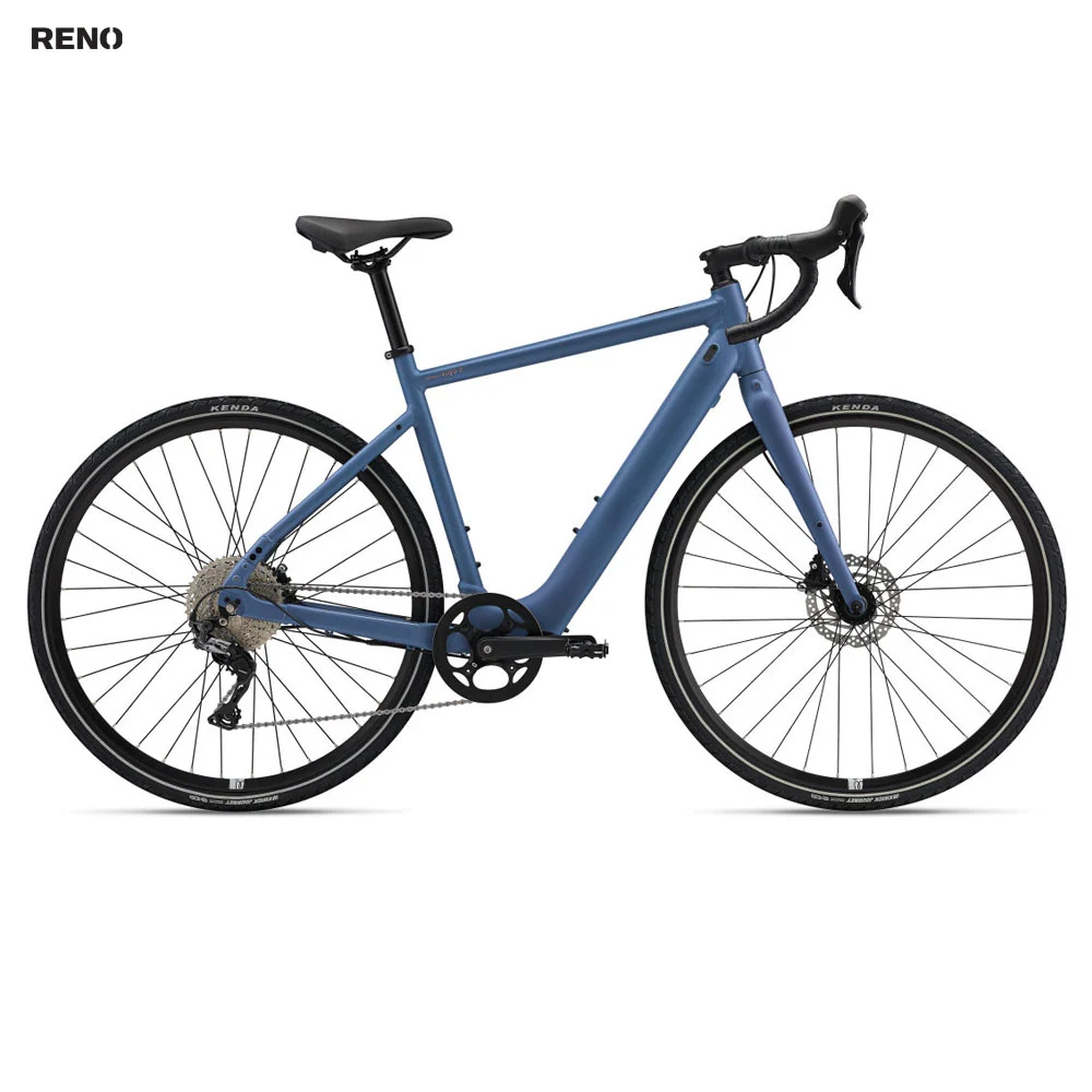Momentum (Giant) Voya E