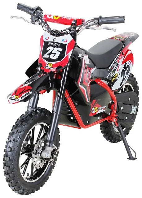 Moto Electrique 500w