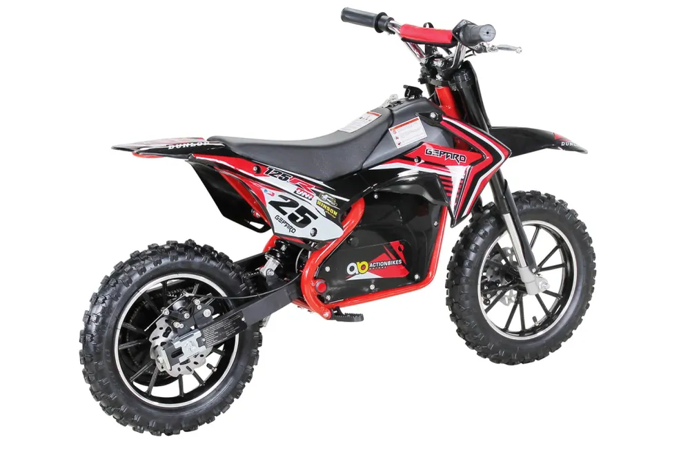 Moto Electrique 500w
