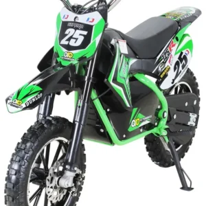 Moto Electrique Gepard 500w