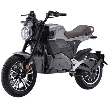 MOTO e-Vidar DAYIMOTOR