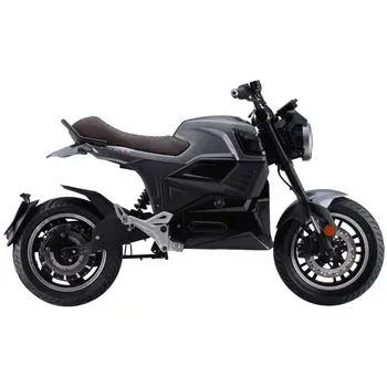 MOTO e-Vidar DAYIMOTOR
