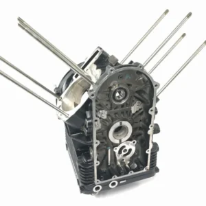 Moto Guzzi Stelvio 1200 8V [2016] - Carter moteur carter moteur bloc moteur carter vide