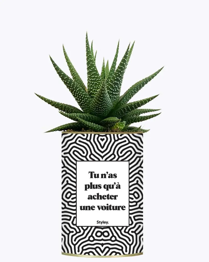 Tu n'as plus qu'à acheter une voiture - Plante