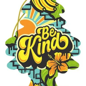 Little Tree Assainisseur d'Air pour Voiture - Be Kind 4.6x2.75po NORTHEAST