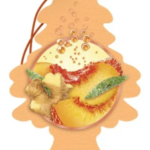 Little Tree Assainisseur d'Air pour Voiture - Pêche Gingembre 4.6x2.75po NORTHEAST