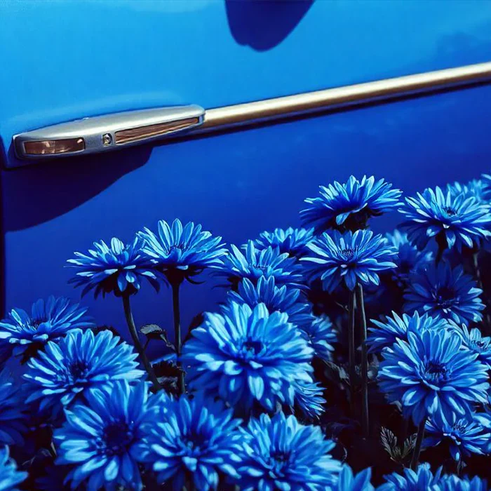 Parfum de voiture Blue Ginger - BAÏJA
