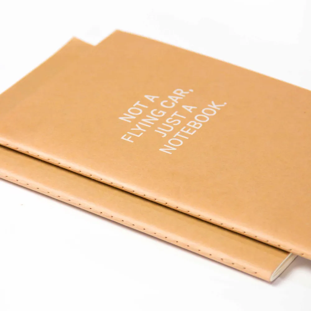 PAS UNE VOITURE VOLANTE... | Carnet de notes en papier kraft beige | Grille de points A5 | Conception octogonale