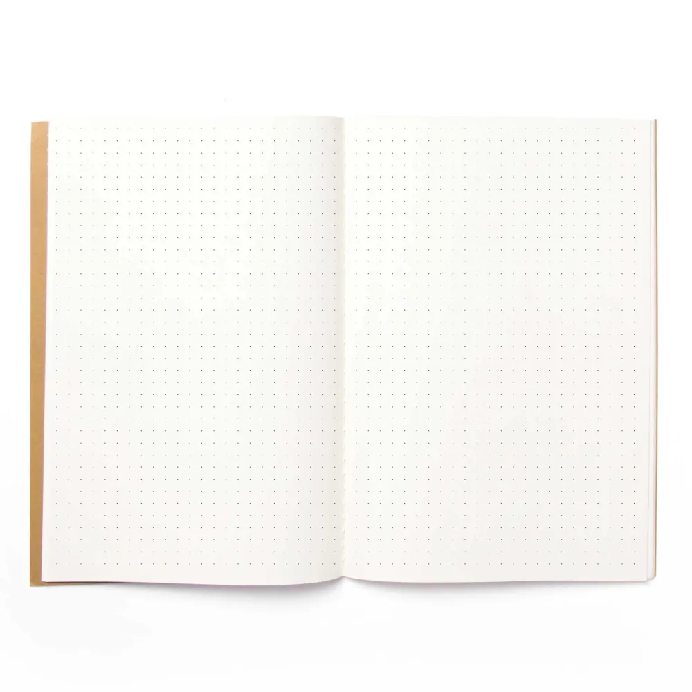 PAS UNE VOITURE VOLANTE... | Carnet de notes en papier kraft beige | Grille de points A5 | Conception octogonale