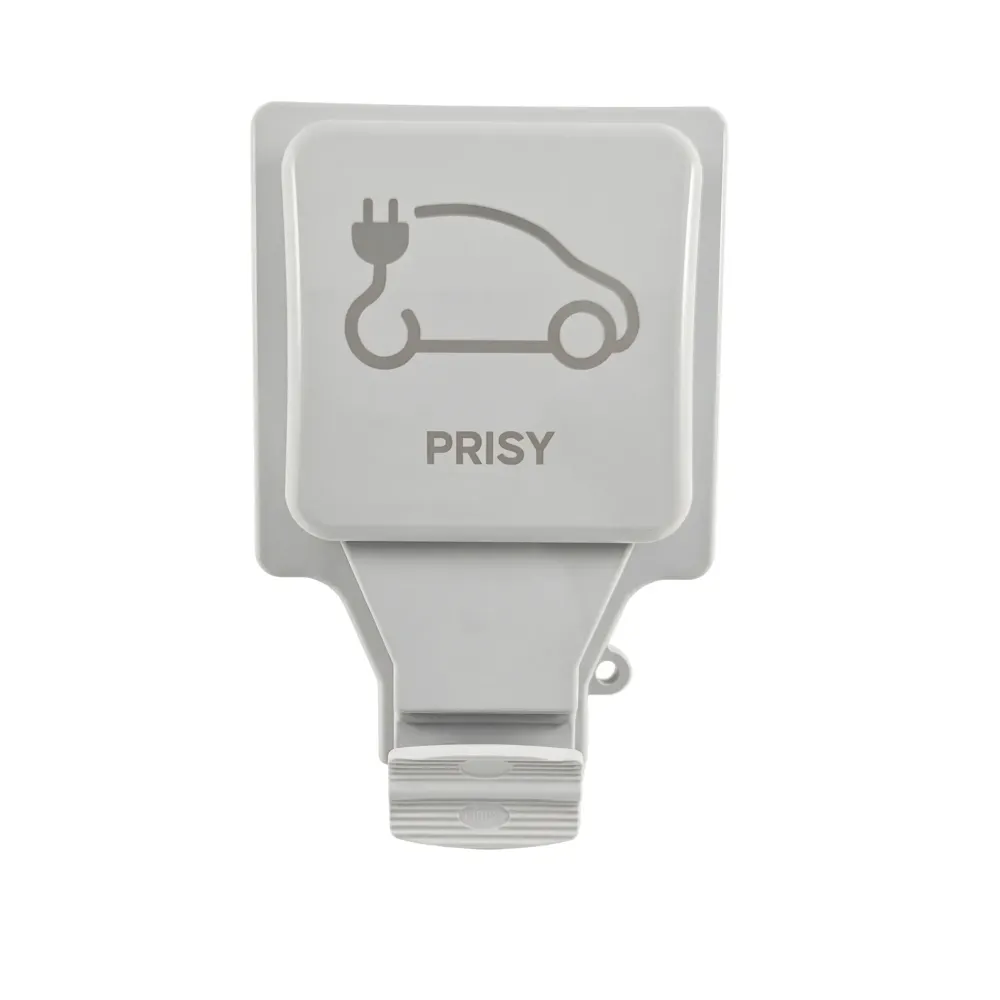 Prise Renforcée 16A pour Voiture Électrique PRISY (3.7kW)