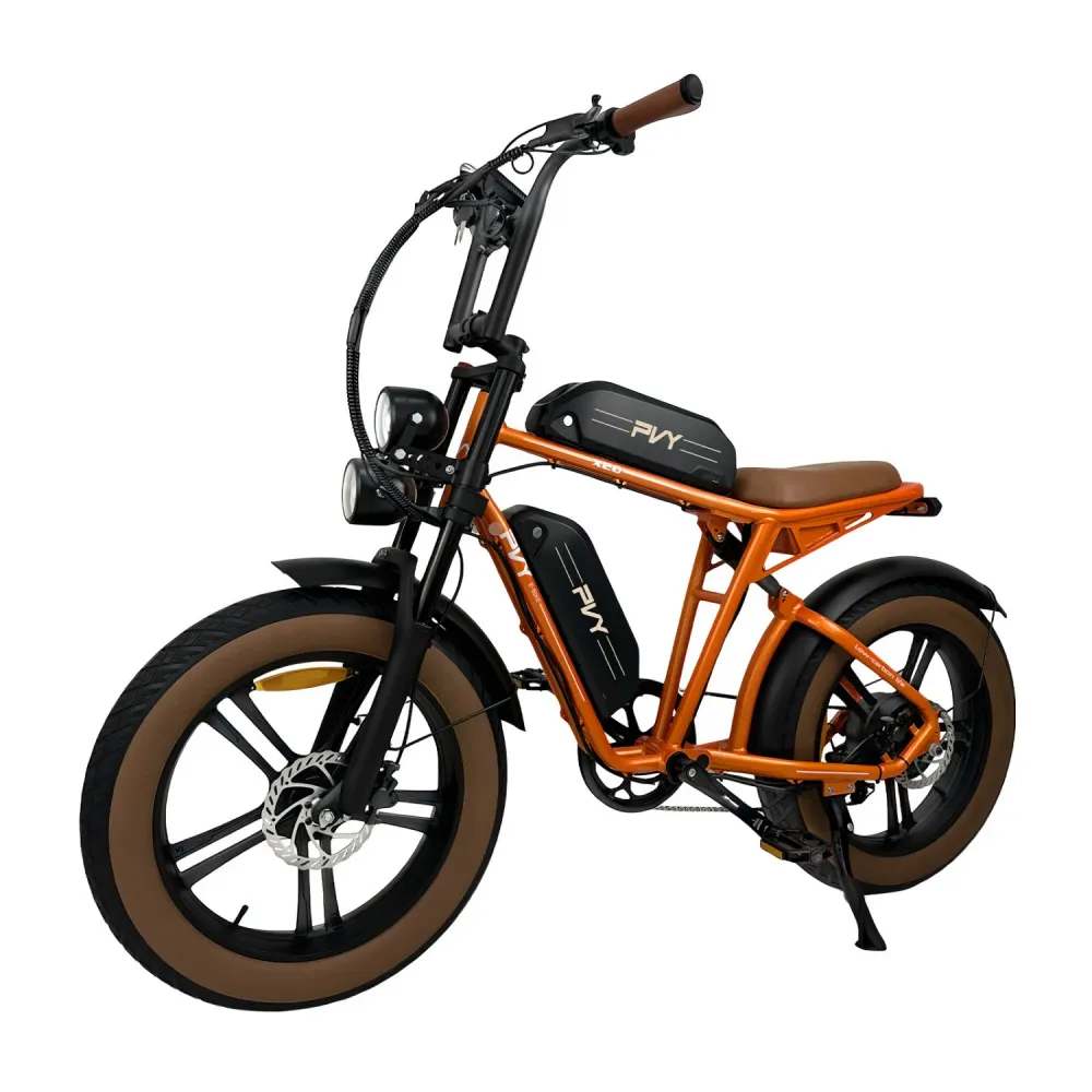 Vélo électrique PVY X20 IT - Moteur 250W Batteries 48V15AH*2 Pneus de 20 Pouces Freins à Disques Hydrauliques - Orange