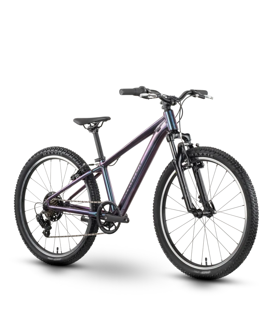Raymon Nayta 24 Comp iridiumblack