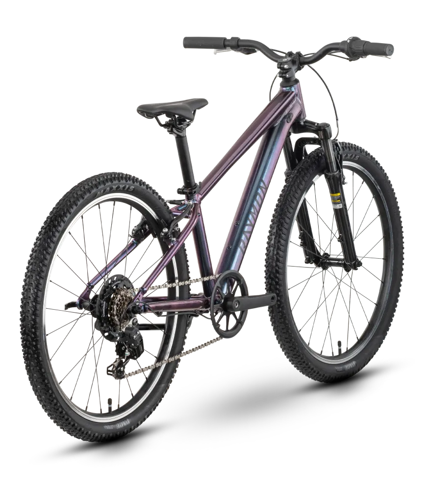 Raymon Nayta 24 Comp iridiumblack