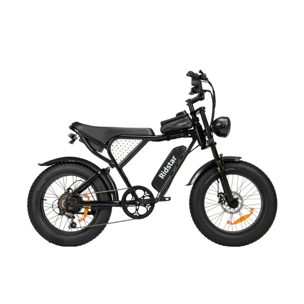 Vélo Électrique Ridstar Q20 - Moteur 500W Batterie 48V15Ah Pneus 20" Freins à Disque Mécaniques - Noir