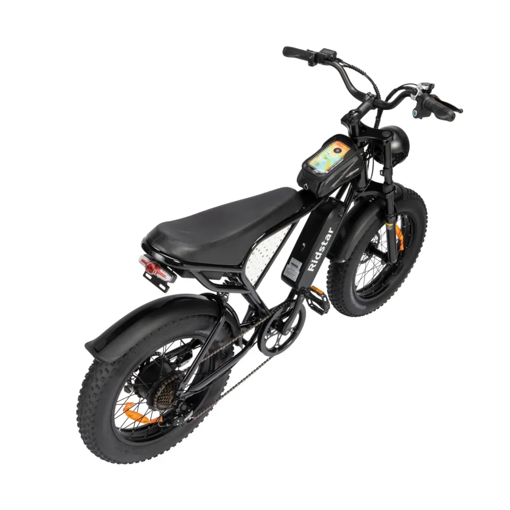 Vélo Électrique Ridstar Q20 - Moteur 500W Batterie 48V15Ah Pneus 20" Freins à Disque Mécaniques - Noir