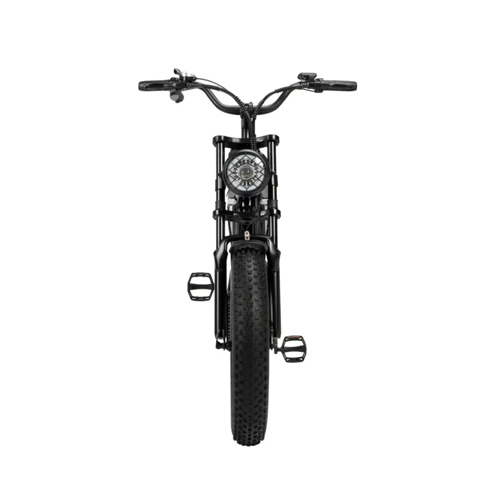 Vélo Électrique Ridstar Q20 - Moteur 500W Batterie 48V15Ah Pneus 20" Freins à Disque Mécaniques - Noir