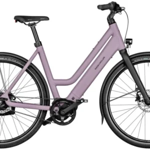 Riese & Muller Culture Mixte Vario