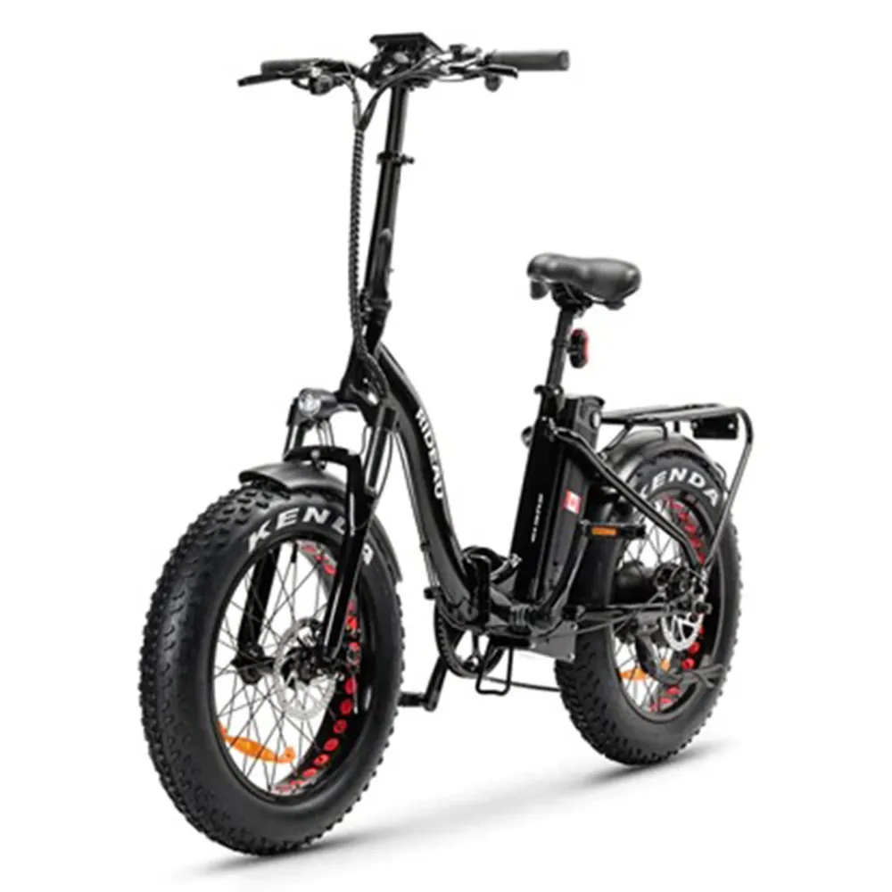 Slane, Rideau Plus Fat Tire, Vélo Électrique Cadre Bas (48 Volts) (16Ah) (500 Watts) EN LIQUIDATION Black