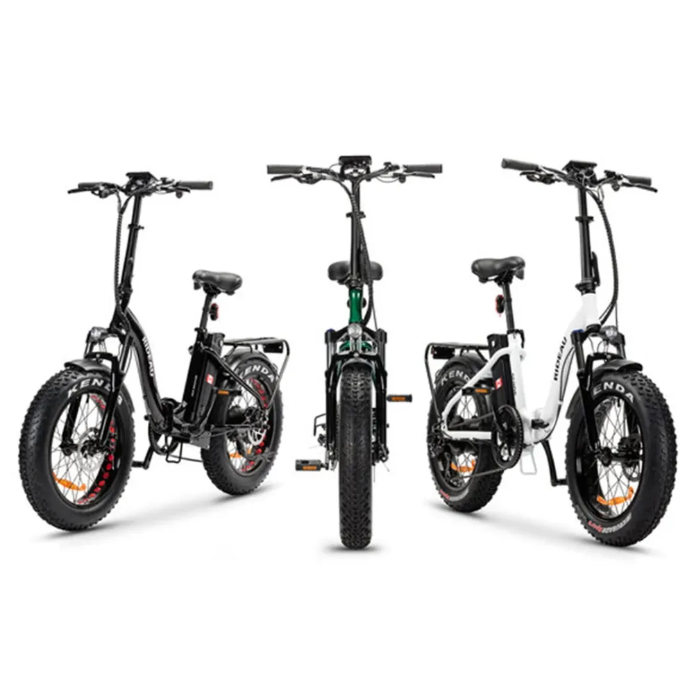 Slane, Rideau Plus Fat Tire, Vélo Électrique Cadre Bas (48 Volts) (16Ah) (500 Watts) EN LIQUIDATION Black