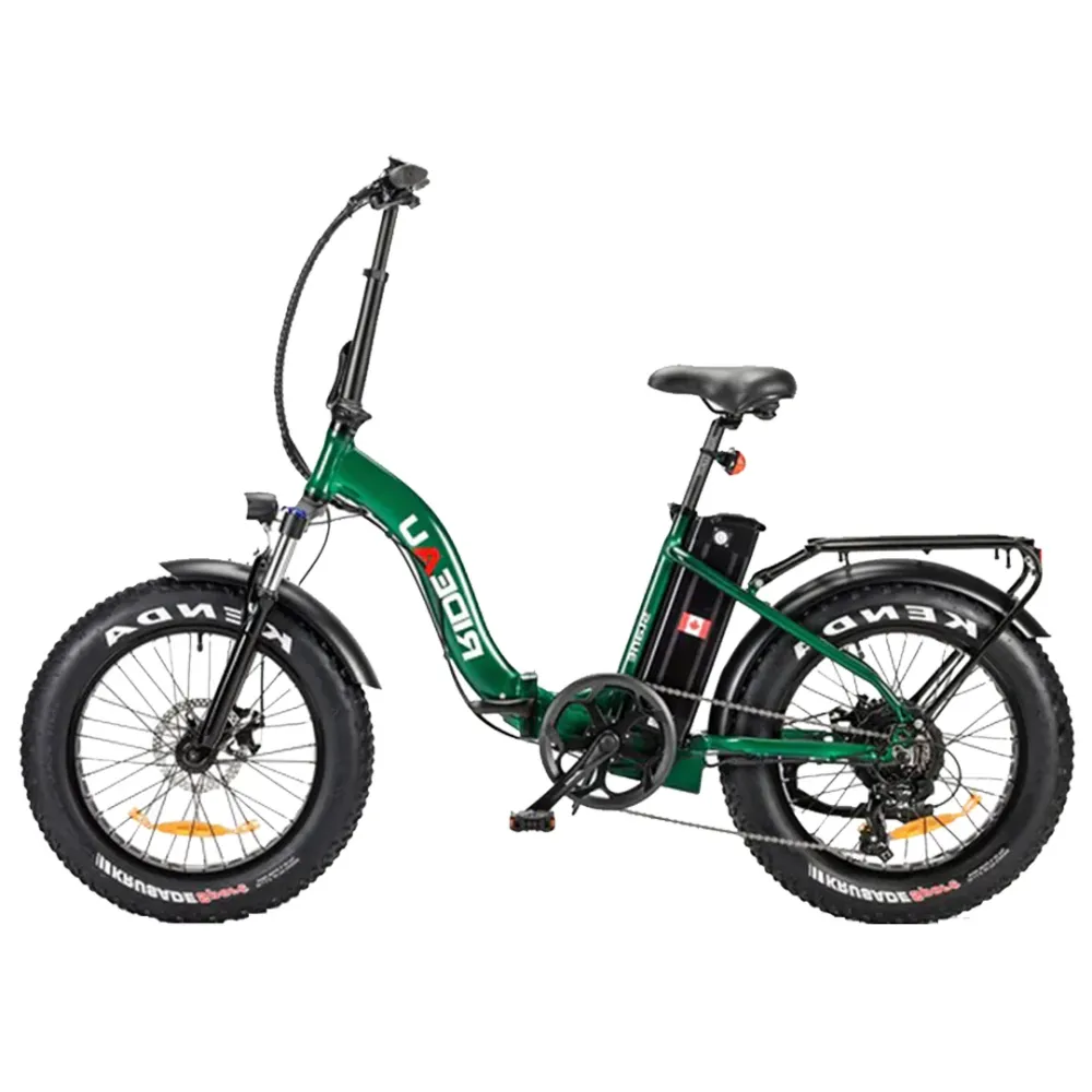 Slane, Rideau Plus Fat Tire, Vélo Électrique Cadre Bas (48 Volts) (16Ah) (500 Watts) EN LIQUIDATION Black