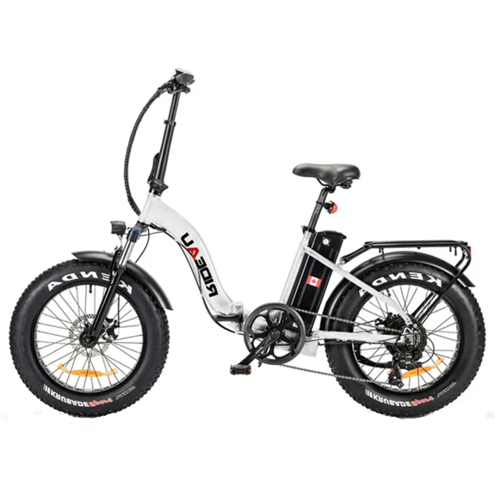 Slane, Rideau Plus Fat Tire, Vélo Électrique Cadre Bas (48 Volts) (16Ah) (500 Watts) EN LIQUIDATION Black