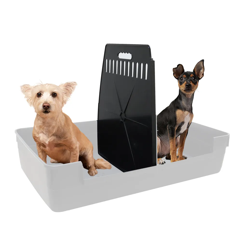 Séparateur pour coffre de voiture à double entrée