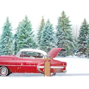 Toile de fond de êt de voiture rouge de neige d'hiver