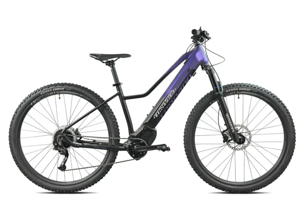 Torpado Ares 29'' 9v Huile