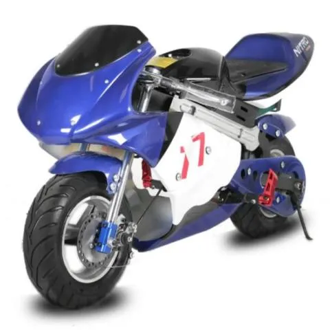 Moto GP Électrique 1000 watts 36 volts Toys Motors