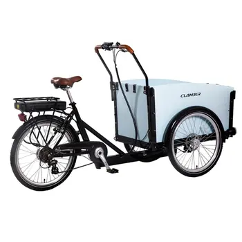 Tricycle Électrique CLAMBER UB9034E
