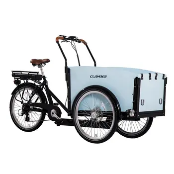 Tricycle Électrique CLAMBER UB9034E