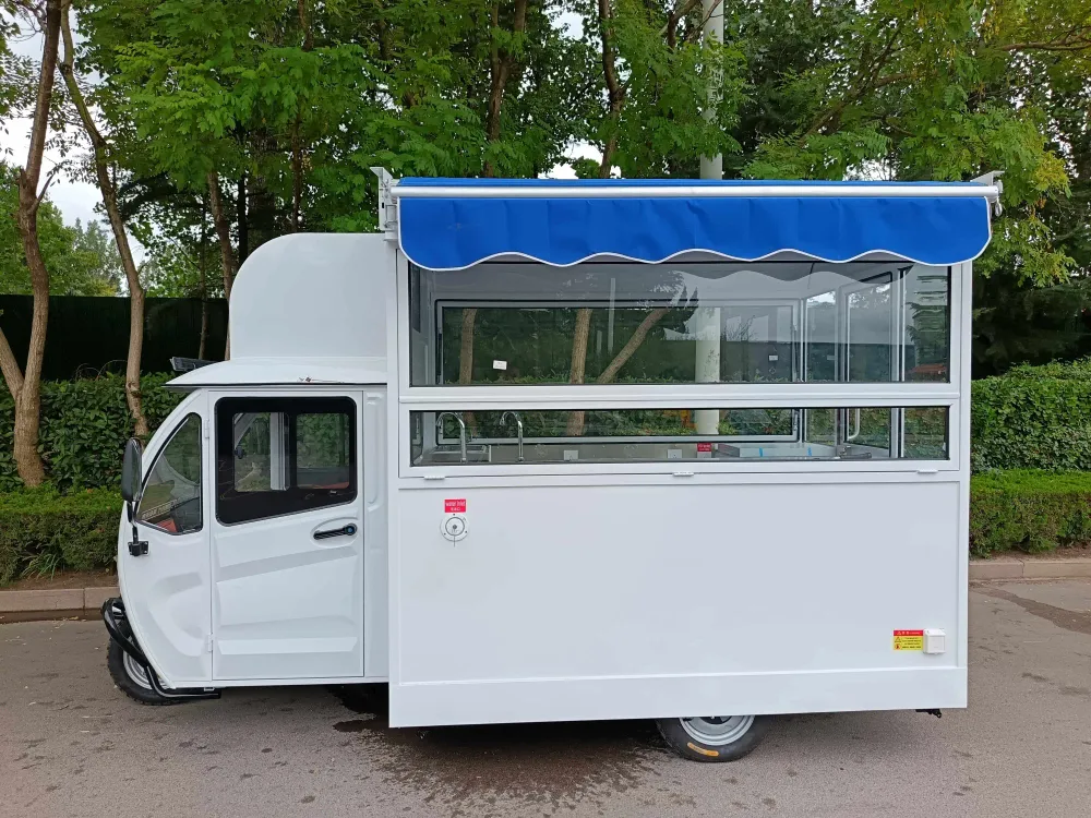 Tricycle Électrique SANSHELL 8kW Camion
