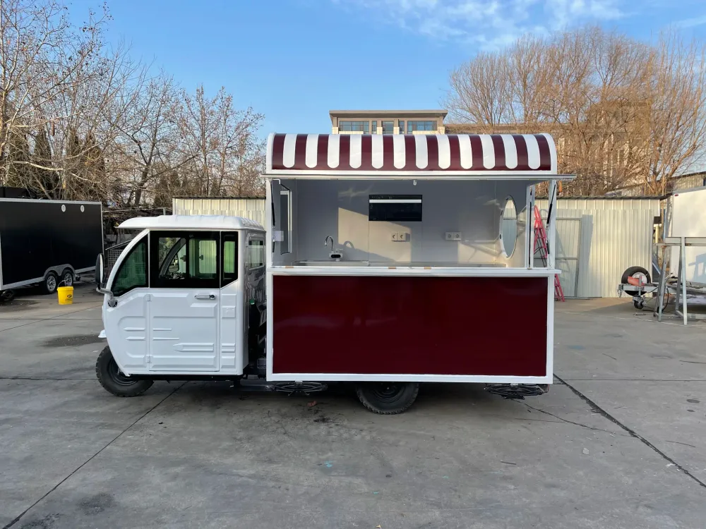 Tricycle Électrique SANSHELL 8kW Camion