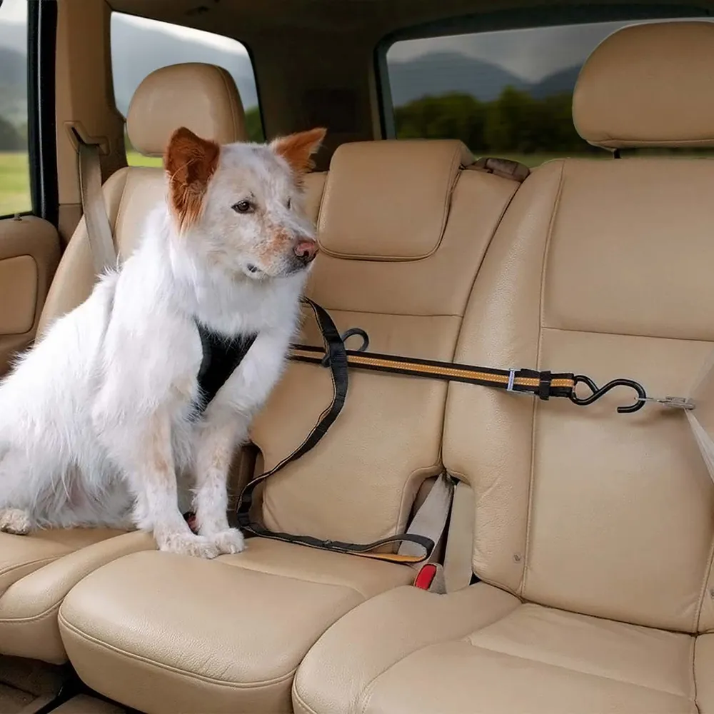 Tyrolienne pour voiture