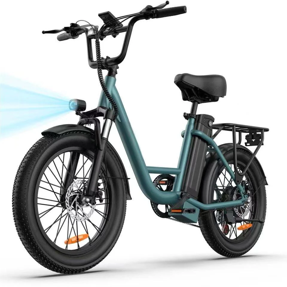 Vélo Électrique URLIFE E20 - Moteur 250W Batterie 48V 13Ah Pneus De 20 Pouces Freins à Disque - Noir