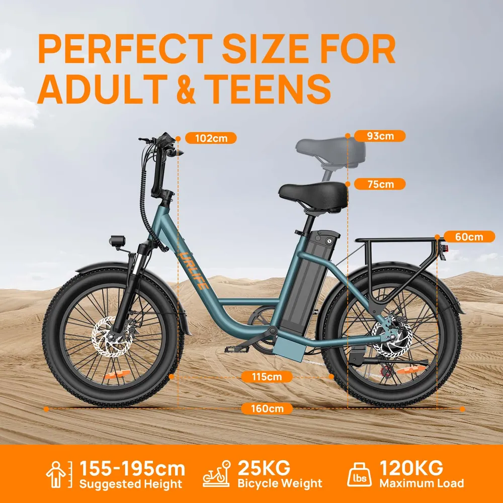 Vélo Électrique URLIFE E20 - Moteur 250W Batterie 48V 13Ah Pneus De 20 Pouces Freins à Disque - Noir