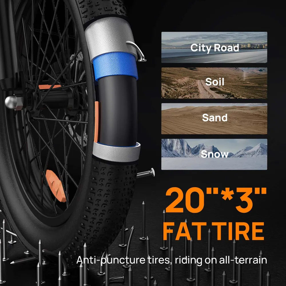 Vélo Électrique URLIFE E20 - Moteur 250W Batterie 48V 13Ah Pneus De 20 Pouces Freins à Disque - Noir