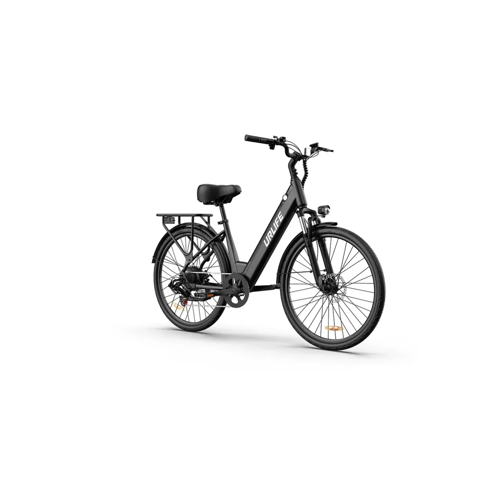 Vélo électrique URLIFE E26 - Moteur 250W batterie 48V10.4Ah pneus 26 pouces freins à disque - Noir