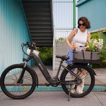 Vélo électrique DYU C1 CARGO