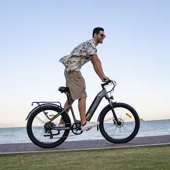 Vélo électrique DYU C1 CARGO