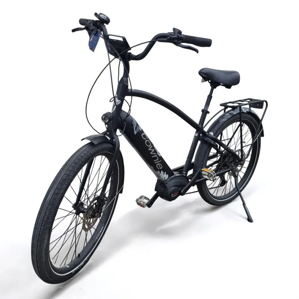 Vélo électrique Electra Townie Path Go 10D