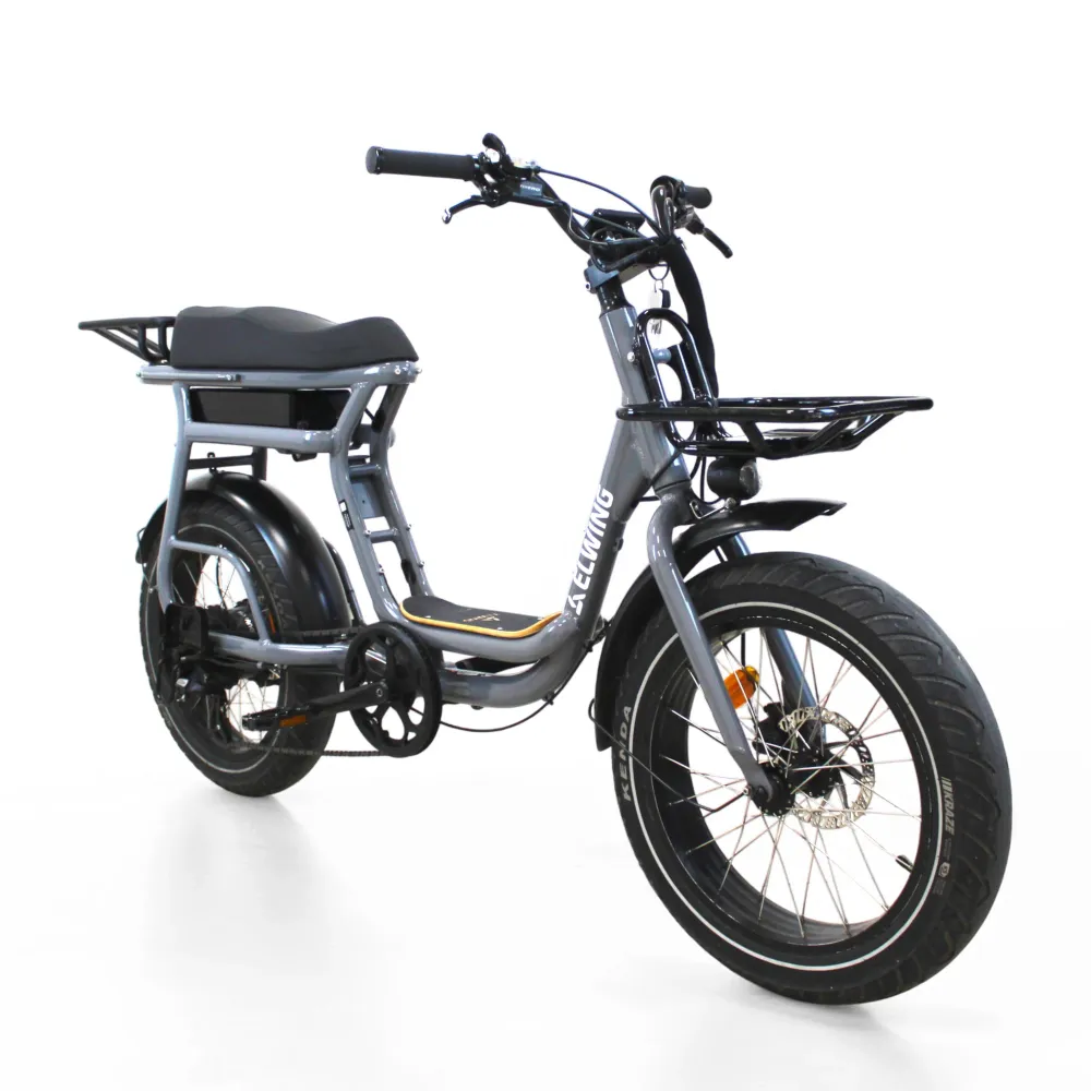 Vélo électrique Elwing Yuvy 1
