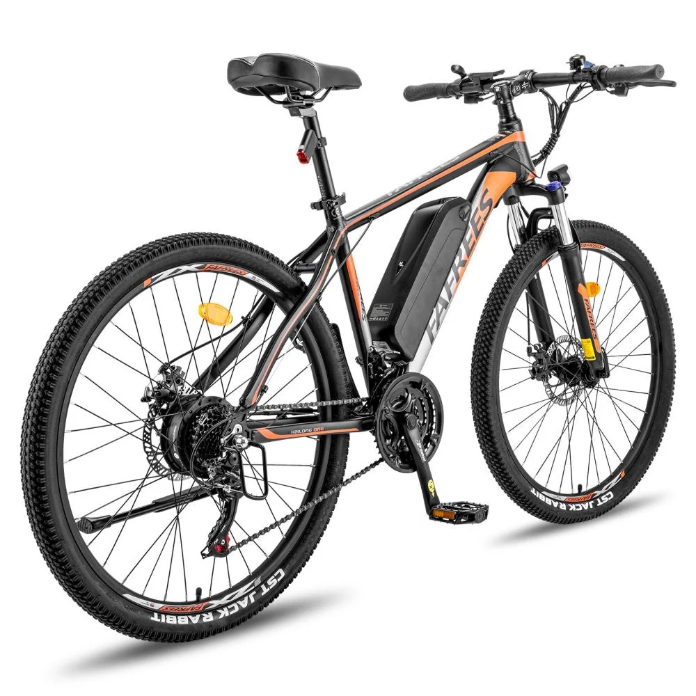Vélo Électrique FAFREES Hailong One - Moteur 250W Batterie 468WH Autonomie 50KM - Noir