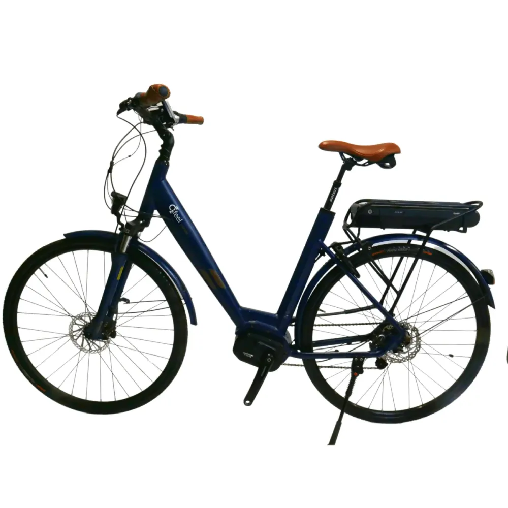 Vélo électrique O2 Feel Swan