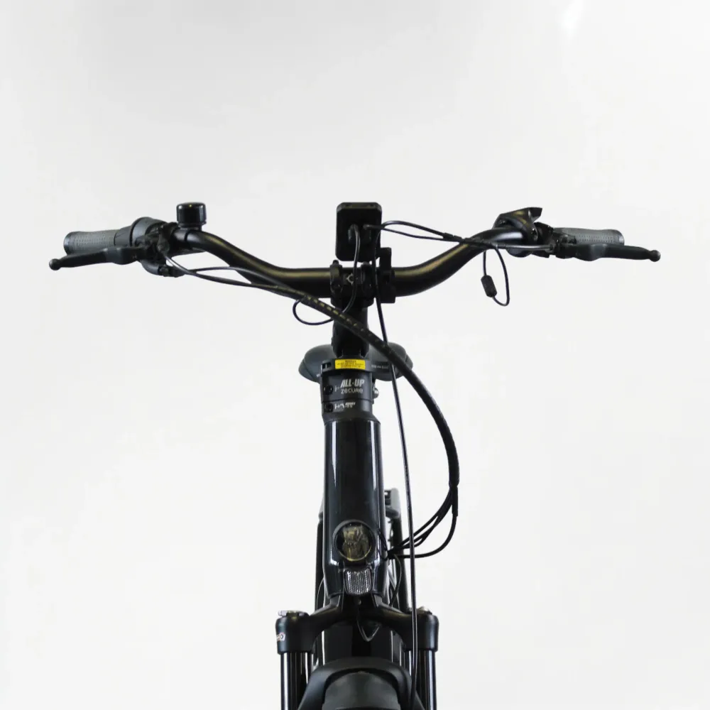 Vélo électrique Flyer Gotour6 7.43